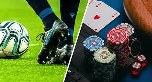 Explore the Exciting World of 333bet 5