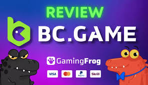 Explore the Thrill of BC CO Casino